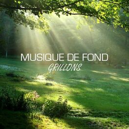 Album cover of Musique de fond : Grillons