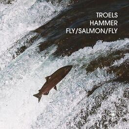 Album cover of Fly Salmon Fly
