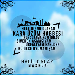 Album cover of Mashup: Kara Üzüm Habbesi / Kundurama Kum Doldu / Siverek Asmasıyam / Urfalıyam Ezelden / Bu Gece Uyumamışam (Hele Ninno Olasan)