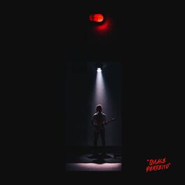 Album cover of Quase Perfeito
