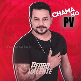 Album cover of Chama no PV