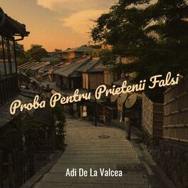 Album cover of Proba Pentru Prietenii Falsi