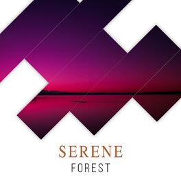 Album cover of Serene Forest, Vol. 5
