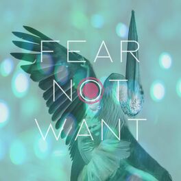 Album cover of Fear Not Want