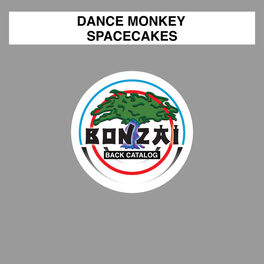 Album cover of Spacecakes