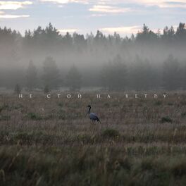 Album cover of Не стой на ветру