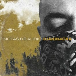 Album cover of Notas de Audio