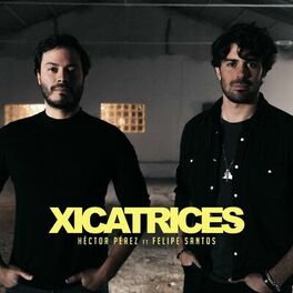 Album cover of Xicatrices