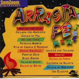 Album cover of SomZoom Apresenta: Arrasta Pé, Vol. V