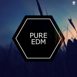 Album cover of Pure EDM