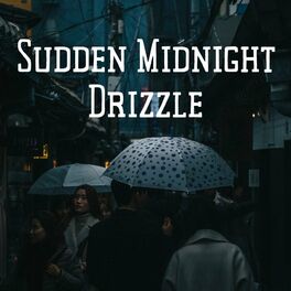 Album cover of Sudden Midnight Drizzle