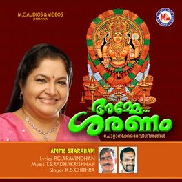 Album cover of Amme Sharanam