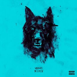 Album cover of Fuck You (Vosai Remix)