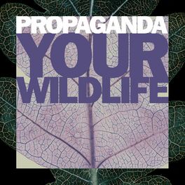 Album cover of Your Wildlife