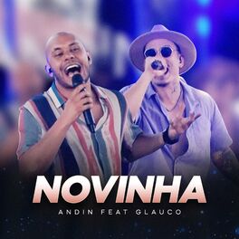 Album cover of Novinha (Ao Vivo)