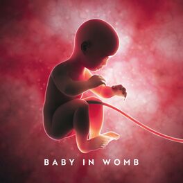 Music in the Womb