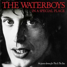 Album cover of In a Special Place: The Piano Demos for This Is the Sea