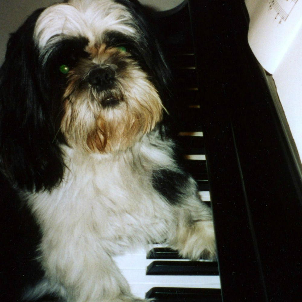 Minor рингтон