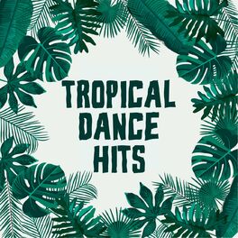 Album cover of Tropical Dance Hits