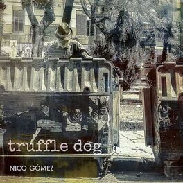 Album cover of Truffle Dog