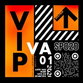 Album cover of VA 01 VIP