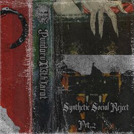 Album cover of synthetic social Part 2