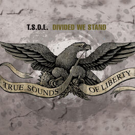 Album cover of Divided We Stand