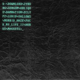 Album cover of Downlord
