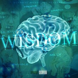 Album cover of Wisdom (feat. C Hatch, Sw1ndle, Milly & HPKAINE)