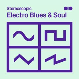 Album cover of Electro Blues And Soul