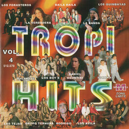 Album cover of Tropi Hits, Vol. 4