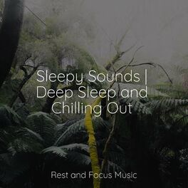 Album cover of Sleepy Sounds | Deep Sleep and Chilling Out