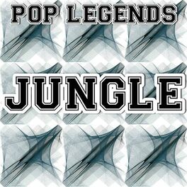 Album cover of JUNGLE - Tribute to X Ambassadors Jamie n' Common