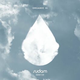 Album cover of Organic XI