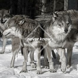 Album cover of Never Know (feat. Freja Kirk) (Few Wolves VIP remix)