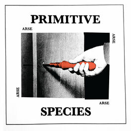 Arse Primitive Species Lyrics And Songs Deezer