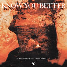 Album cover of Know You Better (feat. LeftLukas)