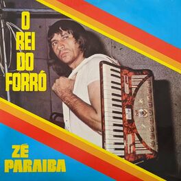 Album cover of O Rei do Forró