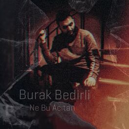 Album cover of Ne Bu Acıtan