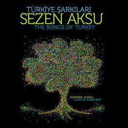 Album cover of Türkiye Şarkıları (Canlı)