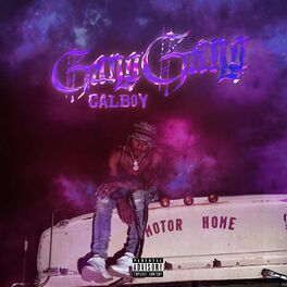 Album cover of Gang Gang