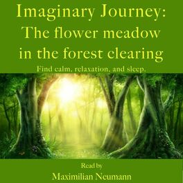 Album cover of Imaginary Journey: The flower meadow in the forest clearing (Find calm, relaxation, and sleep. With relaxing music)