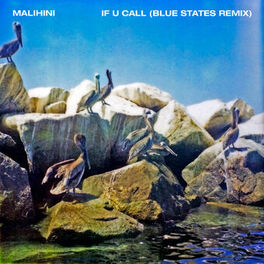 Album cover of If U Call (Blue States Remix)
