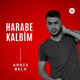 Album cover of Harabe Kalbim