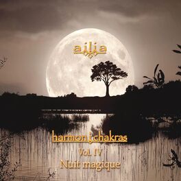 Album cover of Harmon I Chakras, Vol. 4: Nuit Magique