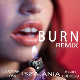 Album cover of Burn (Remix)