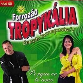 Album cover of Porque Eu Te Amo Vol. 12
