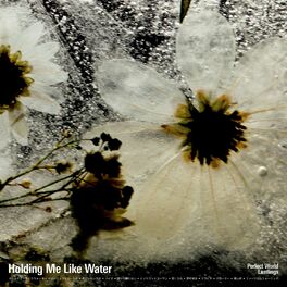 Album cover of Holding Me Like Water