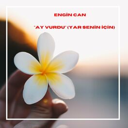 Album cover of Ay Vurdu (Yar Senin İçin)