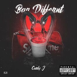 Album cover of Bag Different